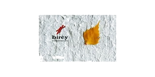 Birey logosu